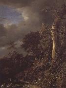 Jacob van Ruisdael Oak Tree and Dense Shrubbery at the Edge of a pond oil painting picture wholesale